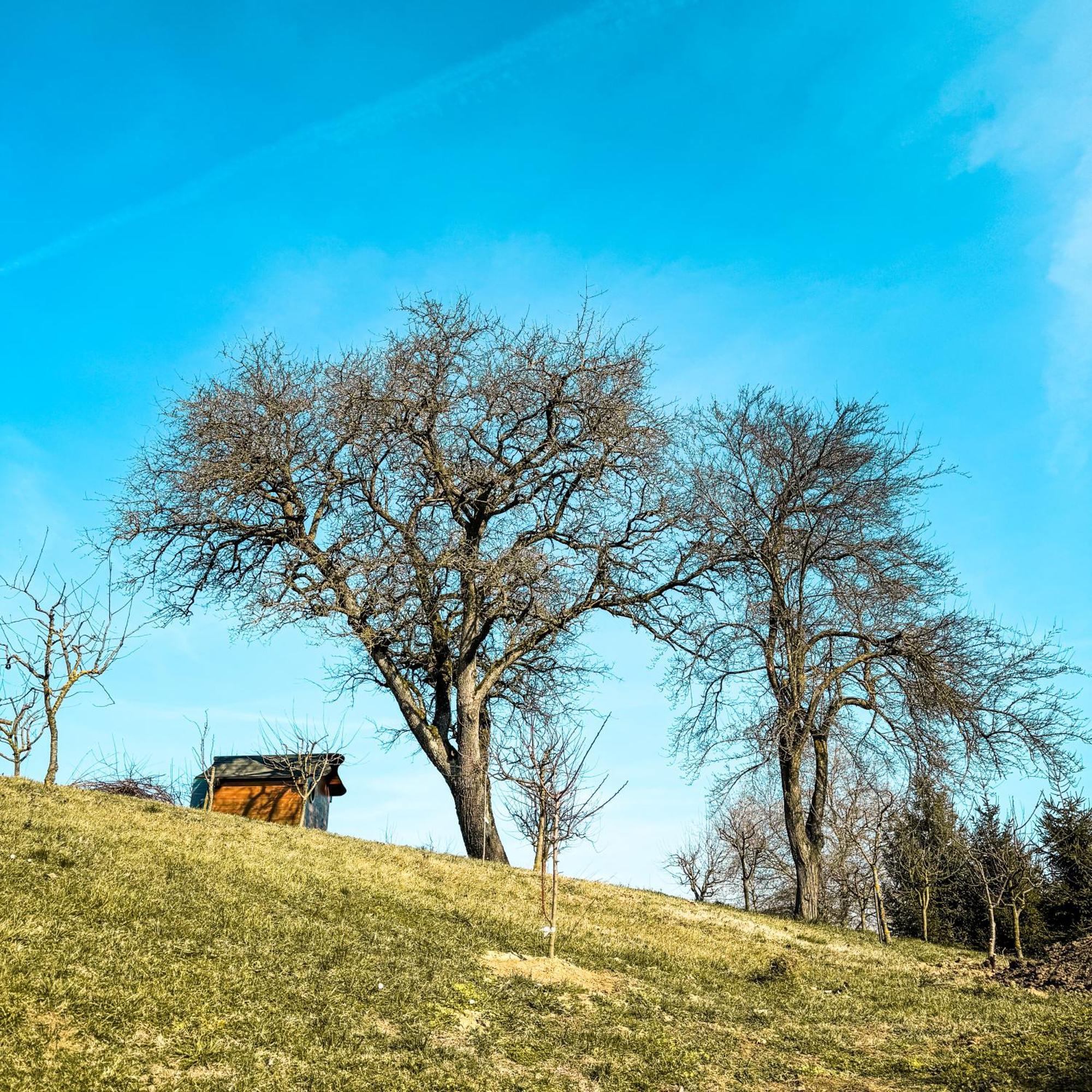 Bed&Breakfast Vinarija Coner Bjelovar Luaran gambar